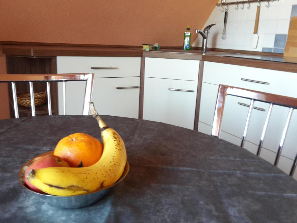 Ferienwohnung Dresden West Kültér fotó